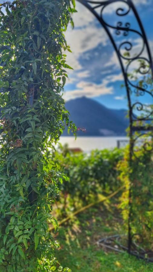 Casa Vita Nova Perast Exterior foto